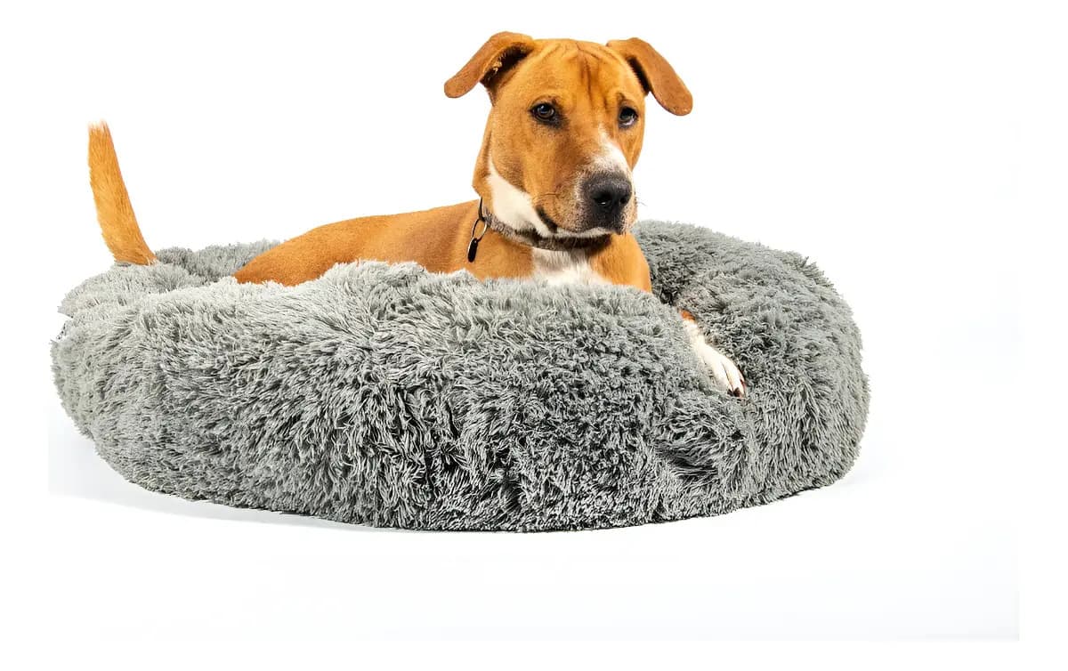 Moisés Para Perro Nido Nórdico Cama Colchón Eggys Tamaño S Color Gris