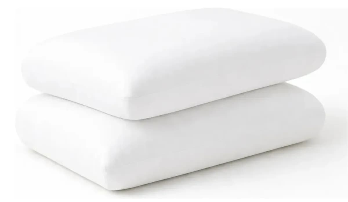 Pack x2 Almohadas Viscoelásticas Inteligentes Blanka Home con Funda Extraíble