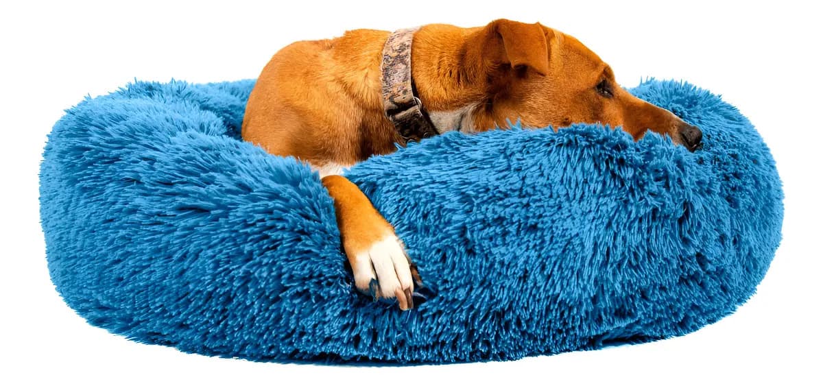 Moisés Para Perro Nido Nórdico Cama Colchón Eggys Tamaño S Color Gris Acero