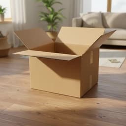 Caja Carton Embalaje 60x40x30 Mudanza Reforzada X10