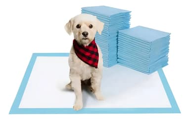 Paños Sanitarios Super Absorbentes Para Perros Educativos 60 X 90 Cm X 20 Unidades Color Celeste