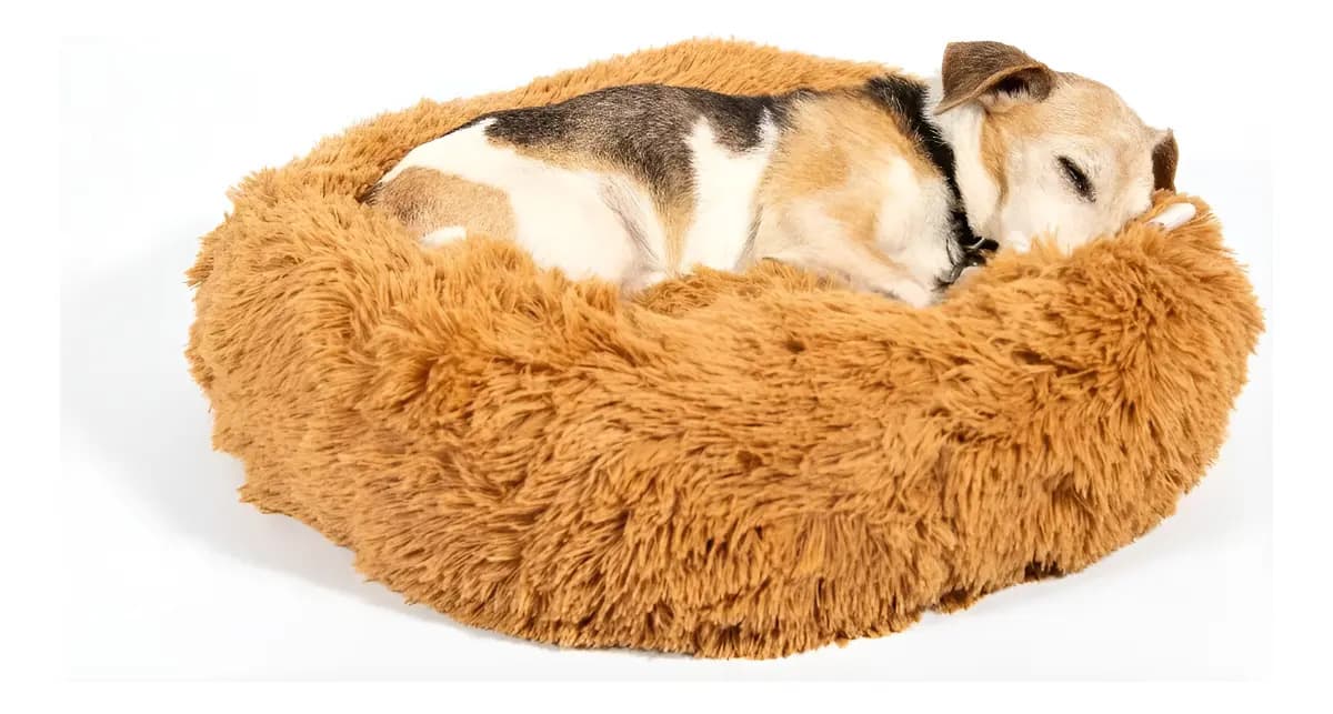 Moisés Para Perro Nido Nórdico Cama Colchón Eggys Tamaño S Color Camel/tostado