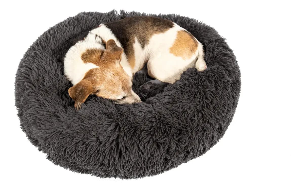 Cama Antiestres Eggys Perro Gato Nordica Tamaño S Color Gris visón (amarronado) Diseño Nido Nordico
