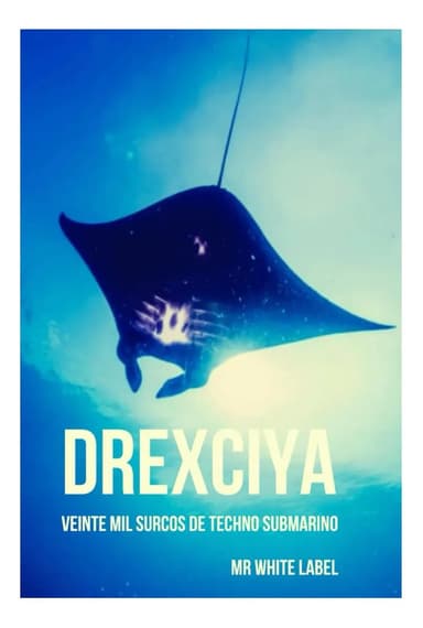 Libro: Drexciya: Veinte Mil Surcos De Techno Submarino (iconos Del Techno) (spanish Edition)