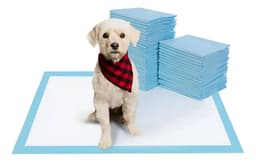 Paños Absorbentes Educativos 60x40cm Para Perros 100 Unidades Color Celeste