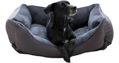 Cama Moises Para Perro O Gato Lola Pets Alaska Mediano Gris
