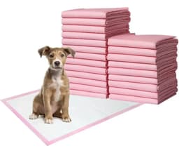 Paños Sanitarios Super Absorbentes Para Perros Educativos 60 X 60 Cm X 10 Unidades Color Rosa