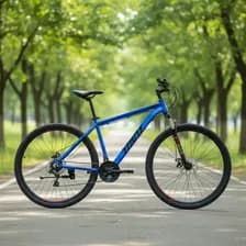 Bicicleta Mtb Rod29 Mint Balto 21v Talle M/l Frenos Disco Azul/negro 21
