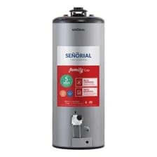 Termotanque A Gas Multigas Señorial 85 L Tts-85 Gris