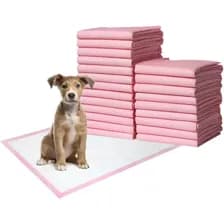 Paños Sanitarios Super Absorbentes Para Perros Educativos 60 X 40 Cm X 100 Unidades Color Rosa