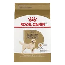 Alimento Royal Canin Breed Health Nutrition Labrador Retriever Para Perro Adulto De Raza Grande Sabor Mix De 12 kg