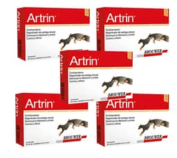 Artrin X5 Unidades Condroprotector Perros Y Gatos X 30 Comp