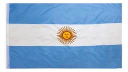 Bandera Flameo Reforzada Argentina 60x90 cm Con Sol Tiras Poliéster