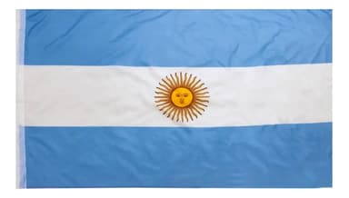 Bandera Flameo Reforzada Argentina 60x90 cm Con Sol Tiras Poliéster