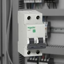 Llave Térmica Bipolar 2x16 4,5ka Schneider Ez9f34216