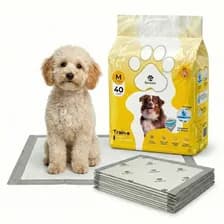 Paños Sanitarios 60x60 Cm X40 Unidades Perros Con Adhesivo Alta Absorción Antideslizantes Secado Rápido Control Olores Base Impermeable Beepaw Train-e Medium Blanco